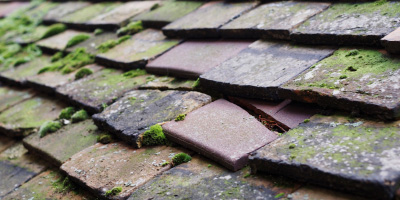Rayleigh roof repair costs